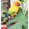 オブジェ・メキシコインコ H23.5cm (MT-W-443)