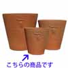 グレープ・スタンダード SS 24cm (KL-NW-79SS)