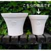 ローズ・ラウンド SW 29cm (KL-NW-84SW)