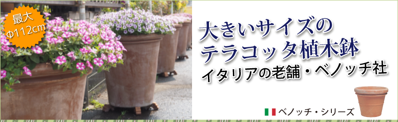 テラコッタ植木鉢 イタリア ベノッチ社 プランター1通販 Benocchi