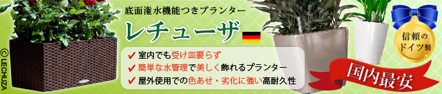 ドイツ製底面潅水機能付きプランターレチューザが国内最安値