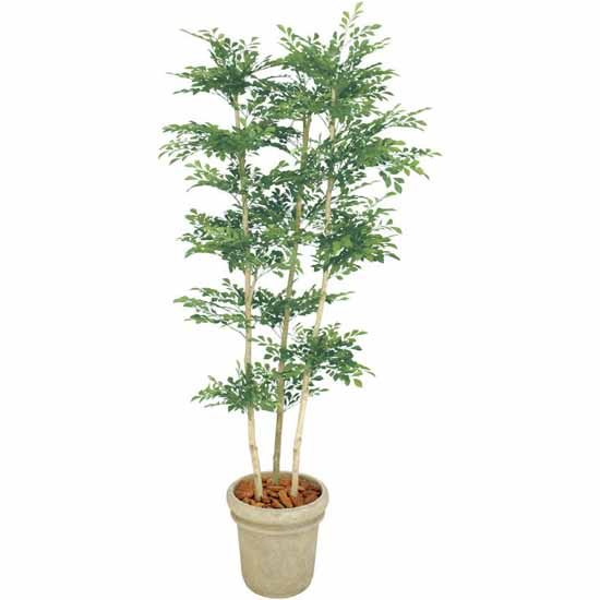 人工観葉植物 トネリコ 3本立 1.8m (TK-GD-156) - プランター1通販｜卸売小売。世界デザインのプランター、植木鉢